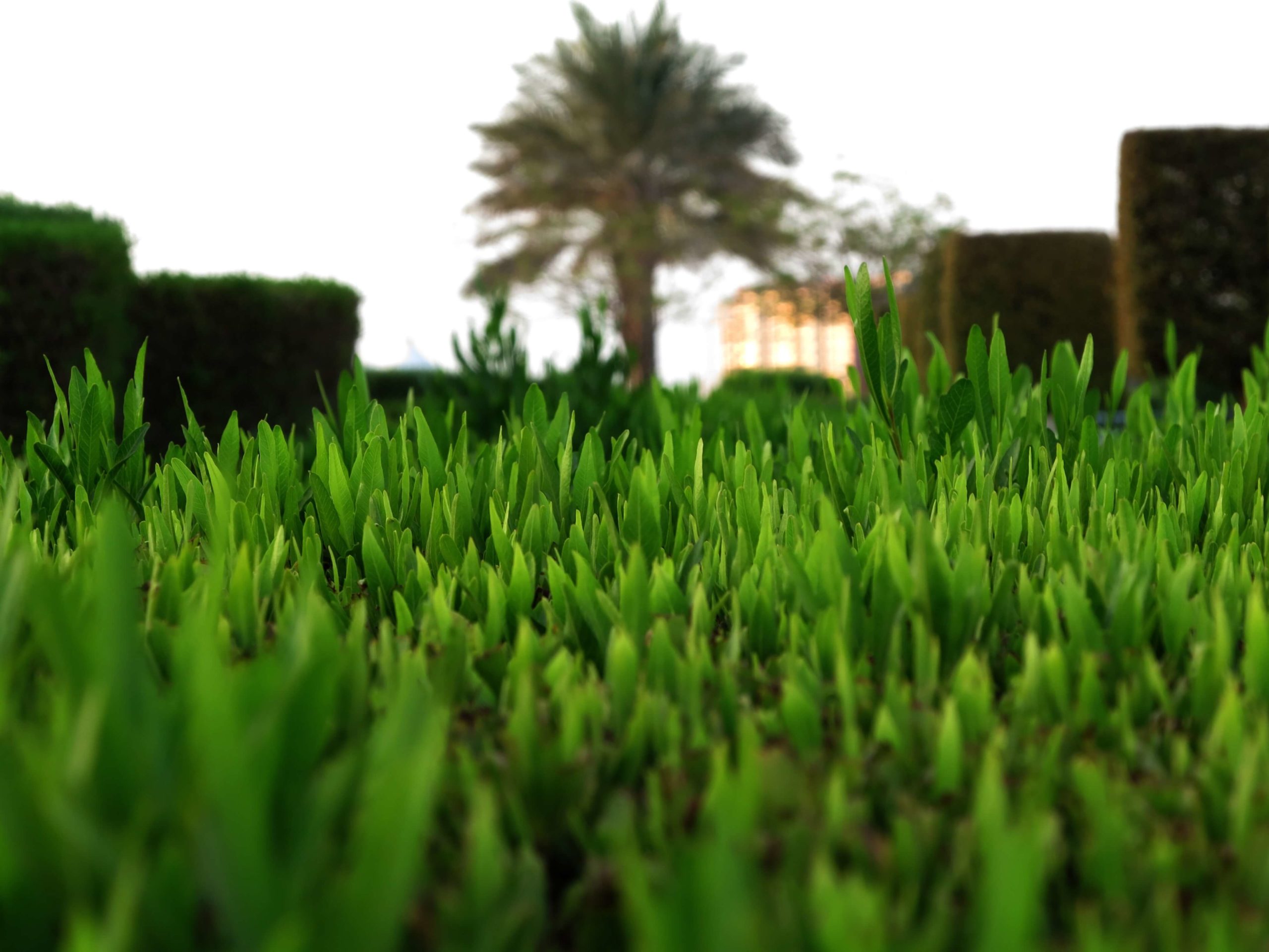the-similarities-between-mowing-your-lawn-and-creating-your-seo-strategy