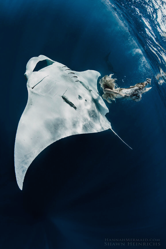 Episode 9 with Hannah Fraser