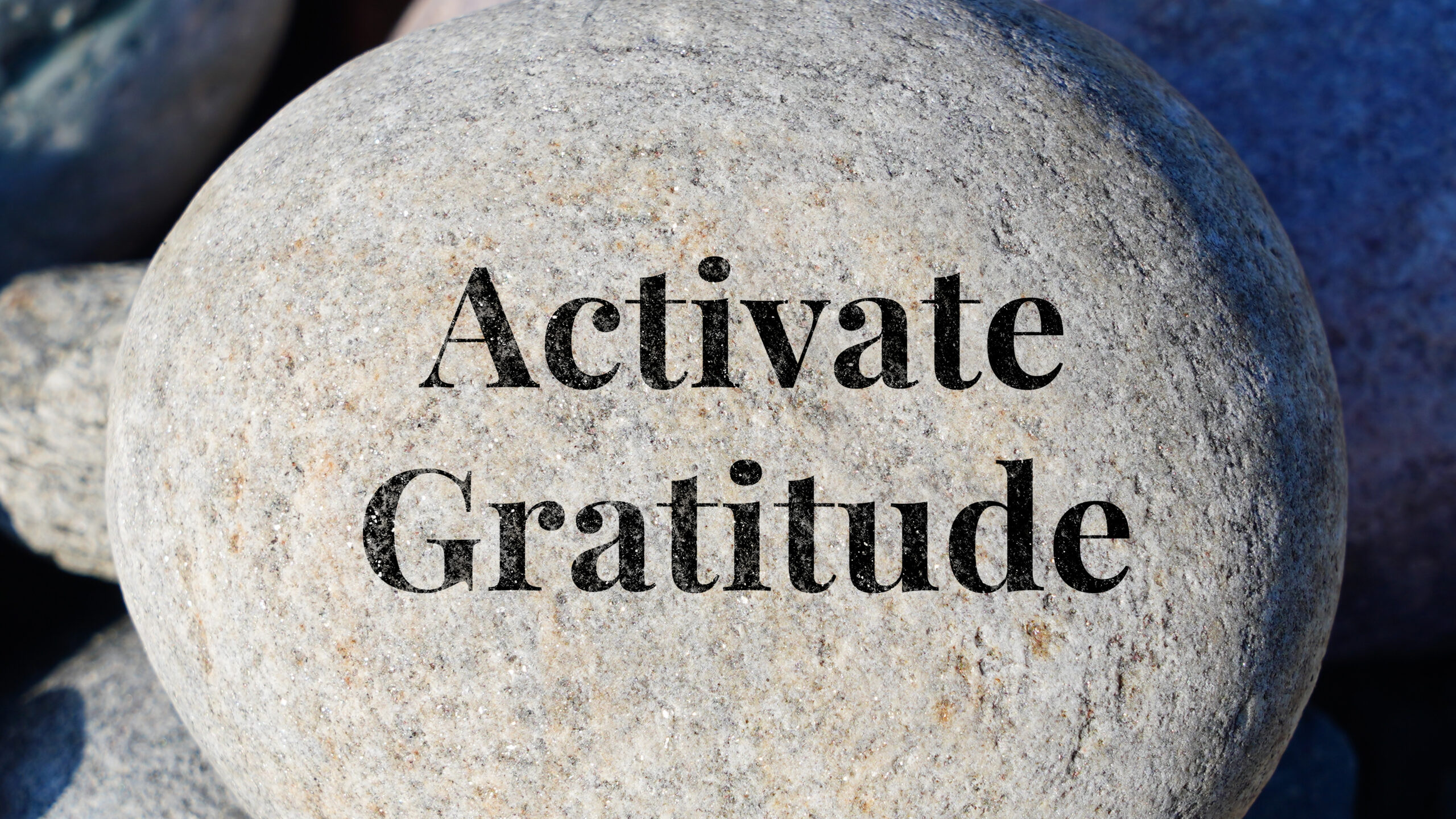 Gratitude Is an Action, Not Just a Feeling
